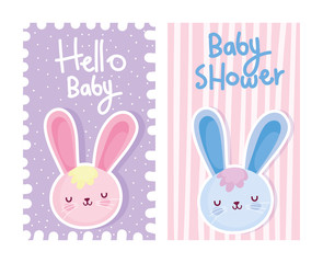 boy or girl, gender reveal hello baby cute rabbits card