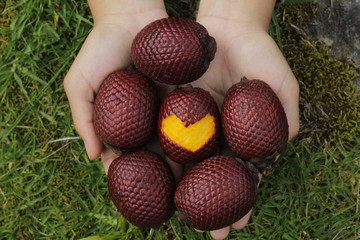 ricos aguajes de la selva peruana