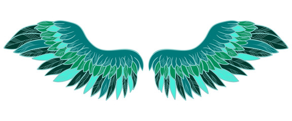 Fototapeta na wymiar Green spreaded wings, bright, magic symbol of freedom