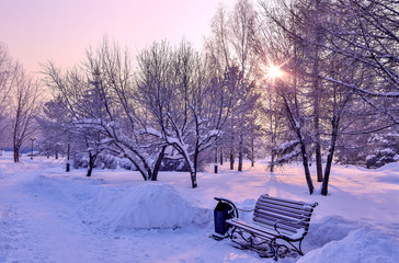 Naklejka premium Frosty pink morning in winter snowy city park
