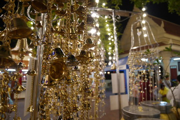 The pure shining bell 1