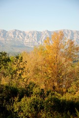 the Sainte Victoire mountain seen from Trets in Provence
