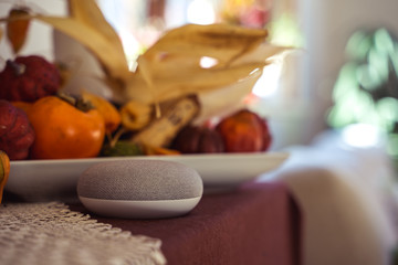 voice controlled smart speaker in a interior home environment. Smart home ai concept