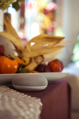 voice controlled smart speaker in a interior home environment. Smart home ai concept