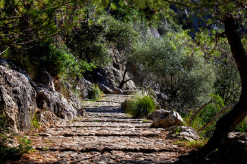 View of Rocky Sidewalk Leading to the Santuari del Puig de Maria, Mallorca, Spain 2018 - 314522730