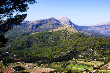 View of Beautiful Green Forest with Mountains in Background in the City of Pollenca, Mallorca, Spain 2018 - 314523389