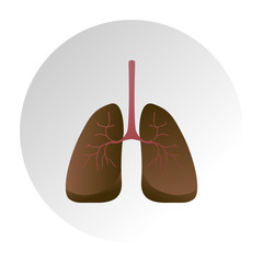 Human lungs. Unhealthy habit smoking concept. Vector illustration