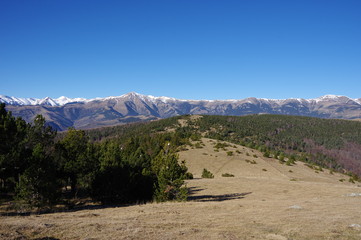 crêtes de pelouse d'altitude de montgane en vallespir altiplano