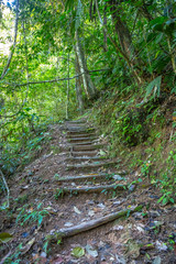 Trail of the Cerro Azul Meambar National Park (Panacam) on Lake Yojoa. Honduras