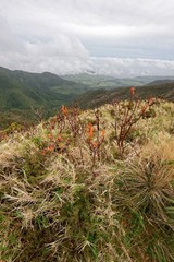 Azoren - São Miguel - Pico da Vara - Wanderweg