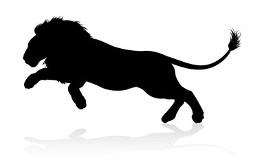 A male lion safari animal in silhouette