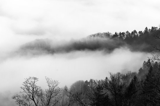 Morning fog wrap the woods mountain over the valley