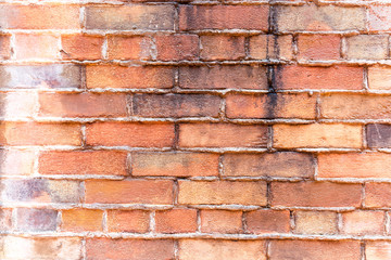 Background of brick wall texture