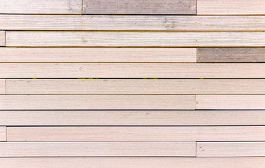 Obraz premium nature wood background