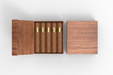 Blank cigars in hard paper box template for mock up, 3d render illustration. 