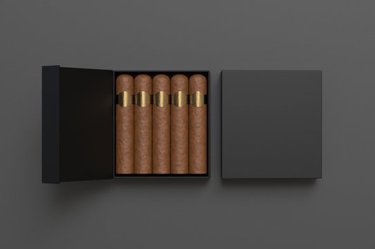 Blank cigars in hard paper box template for mock up, 3d render illustration. 