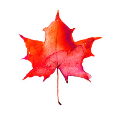 Watercolor Red maple leaf as an autumn symbol, seasonal themed concept, icon of the fall weather on an isolated white background. Happy Canada Day