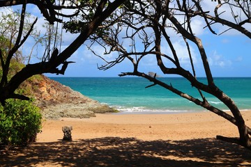 Fototapeta premium Beach in Guadeloupe