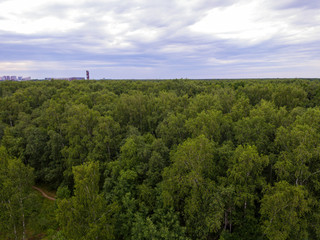 Fototapeta na wymiar Summer landscape over the forest from a bird's eye view.