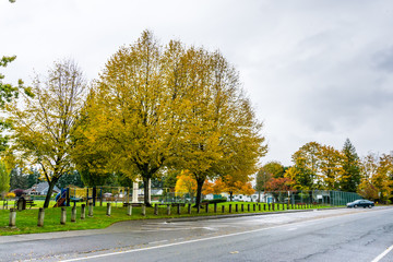 Town Park In Autumn  2