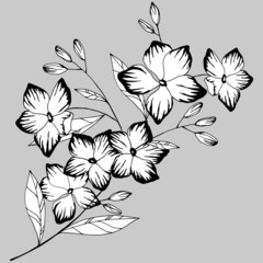 stylized branch with flowers in black and white