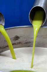 Fototapeta na wymiar Making of extra virgin olive oil. extraction og oil from olives in a little factory