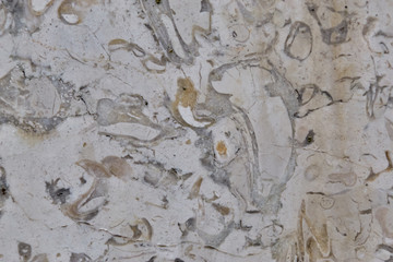 Marble patterned texture background.