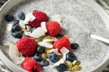 Homemade Chia Seed Pudding Bowl