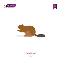 colorful squirrel  animal vector icon for graphic design