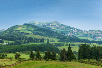 Obraz premium Lush and vibrant green countryside agricultural landscape