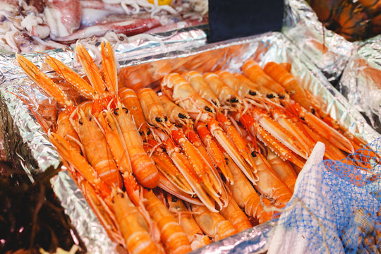 Raw uncooked large red shrimp, lobster Cigala for sale at fish market. Sea food market. Stock photo large red shrimps, mediterranean lobsters, Cigalas in foil box on market in Paris, France.