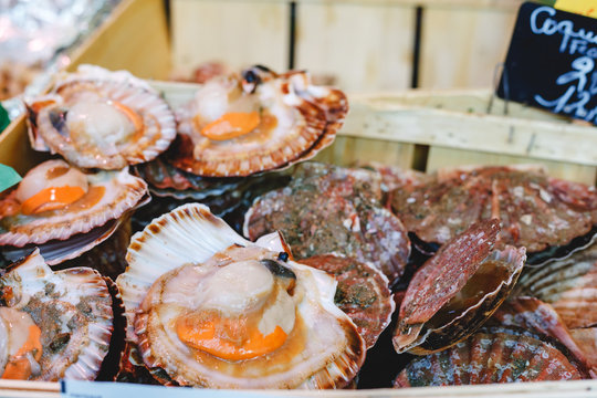 Raw uncooked scallops for sale at fish market. Sea food, Shellfish market. Stock photo scallops in foil box on market in Paris, France.
