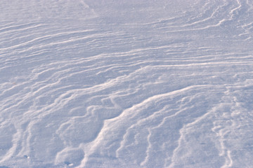 Winter background texture: snow in blue tones with a pattern of wind and sun glistens under the sun.
