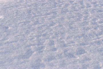 Winter background texture: snow in blue tones with a pattern of wind and sun glistens under the sun.