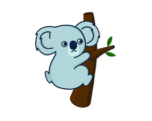 koala
