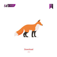 colorful fox animal vector icon for graphic design