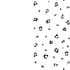 Seamless leopard pattern print