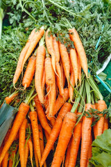 Fresh raw organic uncooked carrot vegetables for sale at farmers market. Vegan food and healthy nutrition concept.Top view lifestyle stock photo carrot as food background. Carrot vegetable with leaves