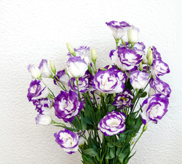 bouquet of beautiful eustoma flowers