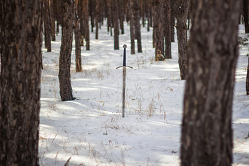 Fototapeta premium Knight's long sword in the snow against the background of a pine winter forest