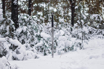 Knight's long sword in the snow against the background of a pine winter forest