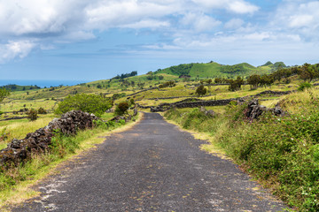 Remote road through vibrant lush rural landscape