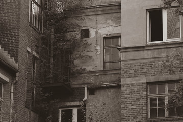 A tree growing on a facade of an abandones house, an old dilapidated facade, an abandoned house, broken windows, crumbling plaster, black and white photo, sepia, low contrast