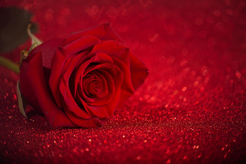 Red one Rose on shining red background with bokeh circles, Valentine's day, Mother's day. Glitter background.
