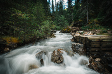 waterfall in forest