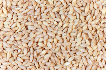 white rice background