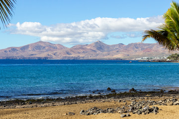 Coast of Puerto del Carmen at Canary island Lanzarote with lava rocks, sand, palm trees and blue water in the foreground and volcanic mountain range in the background
