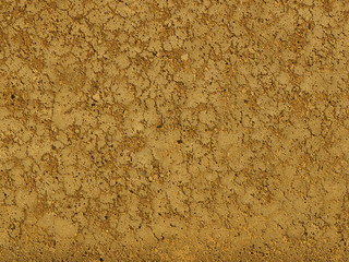 Gold background cement wall. Monolithic plaster decorative backdrop. Single layer scraped cement plaster wallpaper. Concrete exterior building structure backdrop. Silica sand cement wall plaster