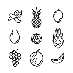 Vector exotic fruits icons. Flat illustration of exotic fruits isolated on white background. Icon vector illustration sign symbol.