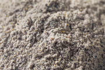 Raw Blue Organic Cornmeal